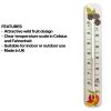 Decorative 215mm wall thermometer - wild fruit design