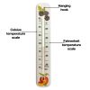 Decorative 215mm wall thermometer - wild fruit design