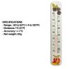 Decorative 215mm wall thermometer - wild fruit design