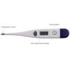 Standard oral clinical thermometer