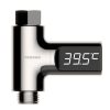 Shower Thermometer