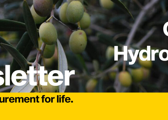 Olive oil hydrometers